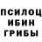Галлюциногенные грибы Magic Shrooms Vasyliy S