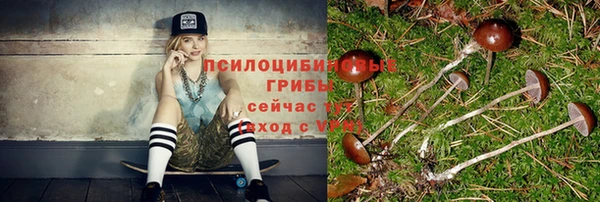 apvp Сафоново